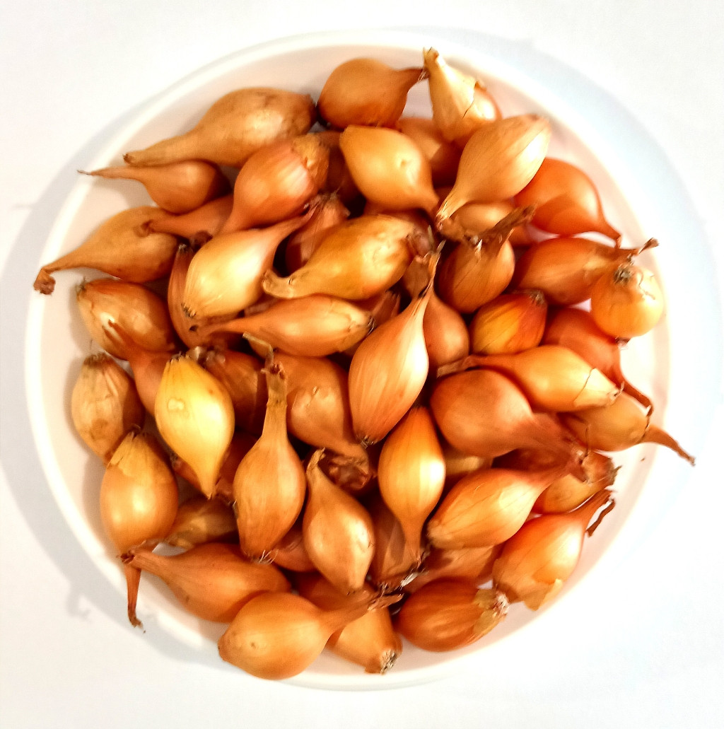 Лук севок Триумф - 0,5 кг