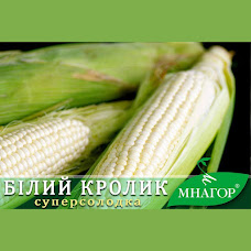 https://hectare.ua/upload/69493b8aa7ee2.jpg