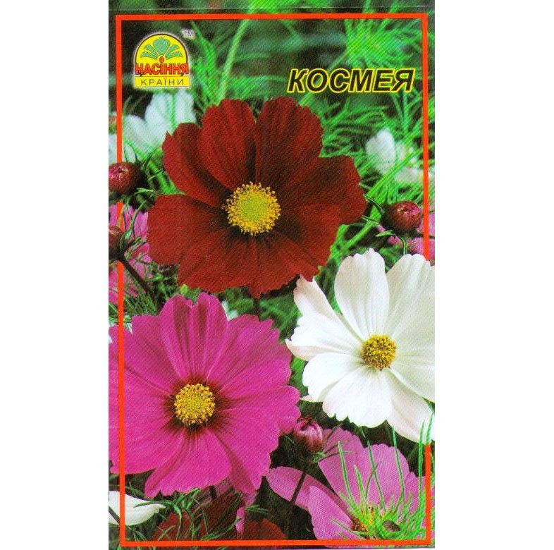 Насіння Космея кольорова 0,3 г (Насіння країни)