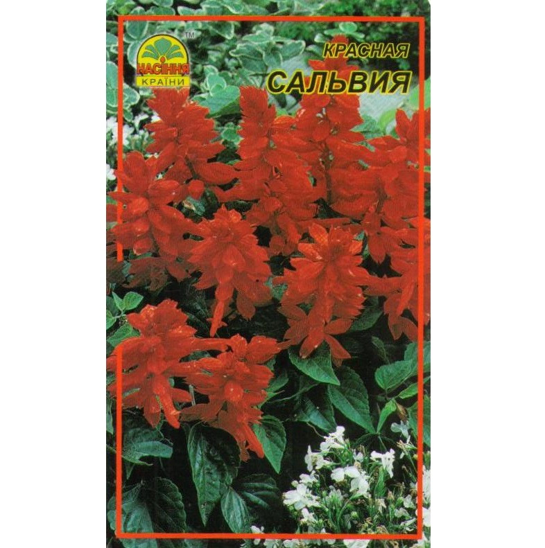 Насіння Сальвія червона 0,1 г (Насіння країни)