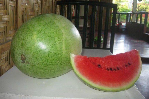 Насіння кавуна Бінго 0.5 кг Насіння кавуна Бінго 0.5 кг