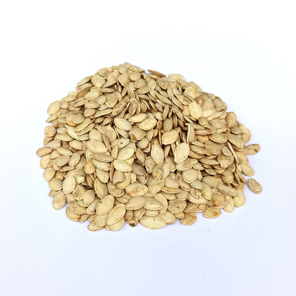 Насіння кабачка Золотинка 0,5 кг Насіння кабачка Золотинка 0,5 кг