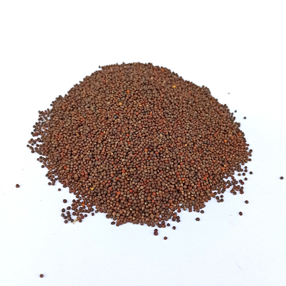 Насіння капусти Амагер 0.5 кг Насіння капусти Амагер 0.5 кг