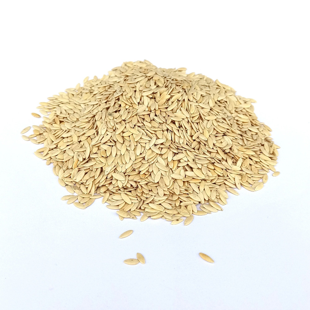 Насіння огірка Монастирський 0,5 кг