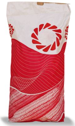 Насіння кукурудзи ЛГ 31240 Насіння кукурудзи ЛГ 31240