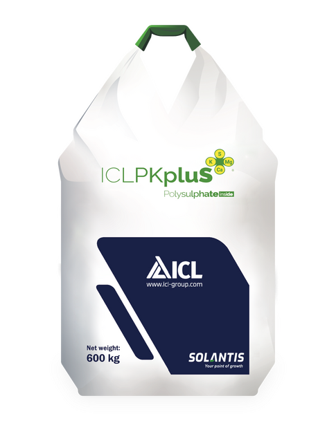 ICL NPKpluS 5-25-5 (15CaO+3MgO+23SO3) ICL NPKpluS 5-25-5 (15CaO+3MgO+23SO3)