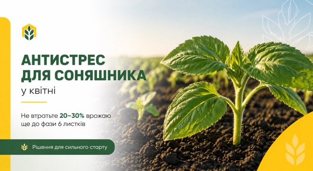 Антистрес для соняшника у квітні: як не втратити 20–30% врожаю ще до фази 6 листків
