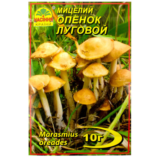 Опеньок луговий 10 г