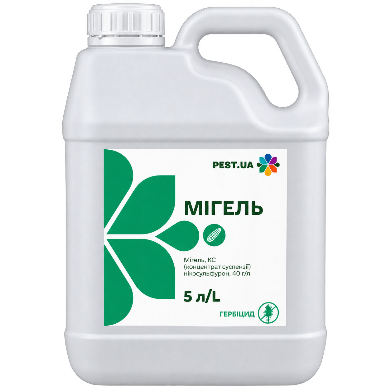 Мигель 