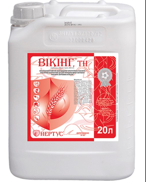 Вікінг, в.с.к. (Рекорд, Вітавакс) Вікінг, в.с.к. (Рекорд, Вітавакс)