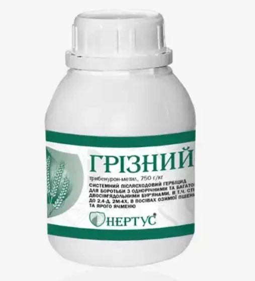 Грізний