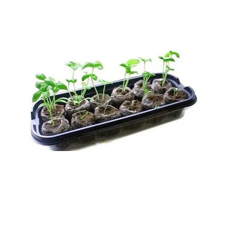 https://hectare.ua/upload/6a962599c9443.jpg