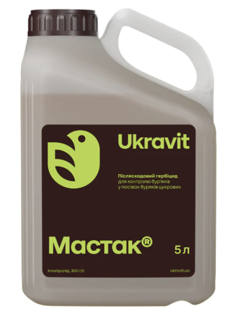 Мастак, РК 