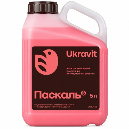 Паскаль 5 л