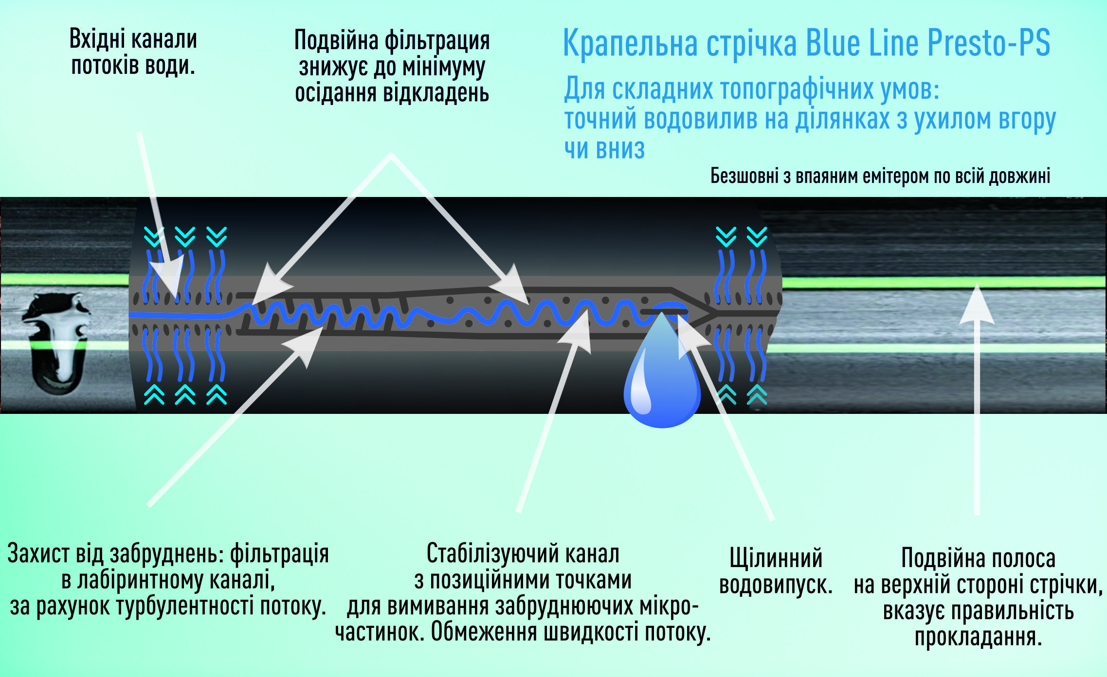 https://hectare.ua/upload/6a9f621c23420.jpg