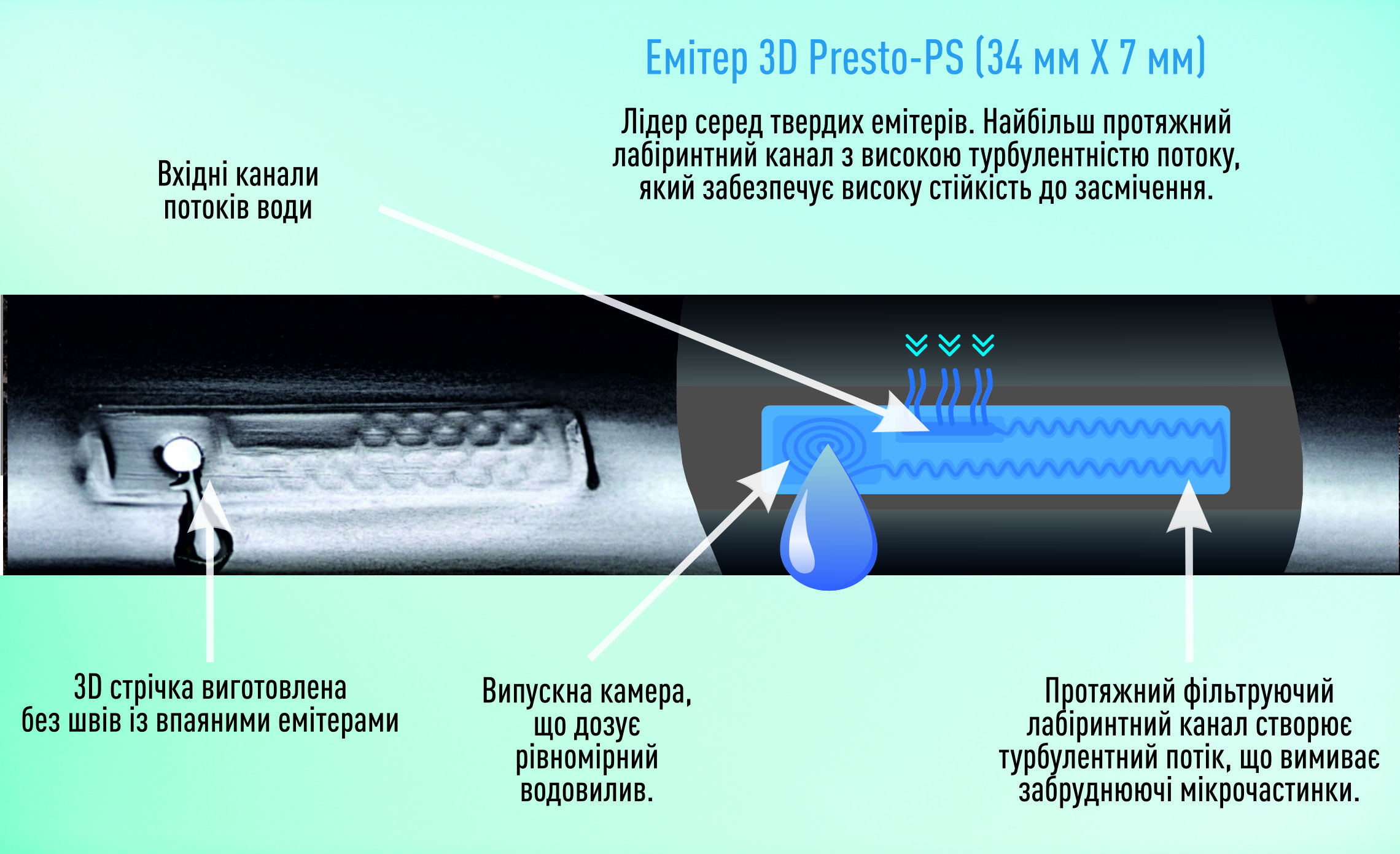 https://hectare.ua/upload/6a9f62a2f257d.jpg