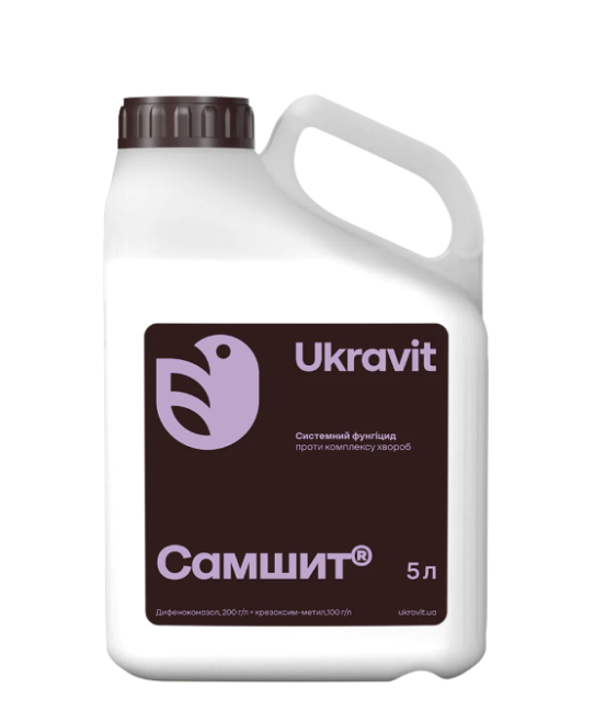Самшит Самшит