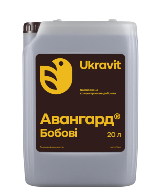 АВАНГАРД Р Бобовi