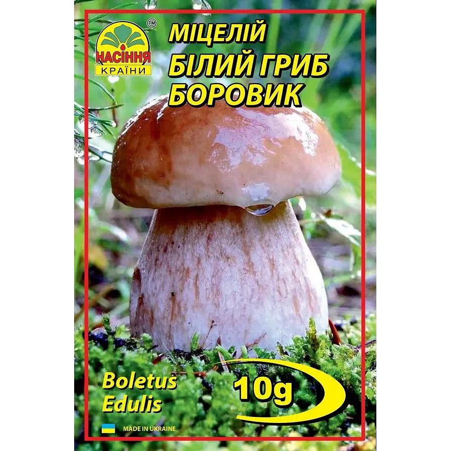 Білий гриб Боровик 10 г Білий гриб Боровик 10 г