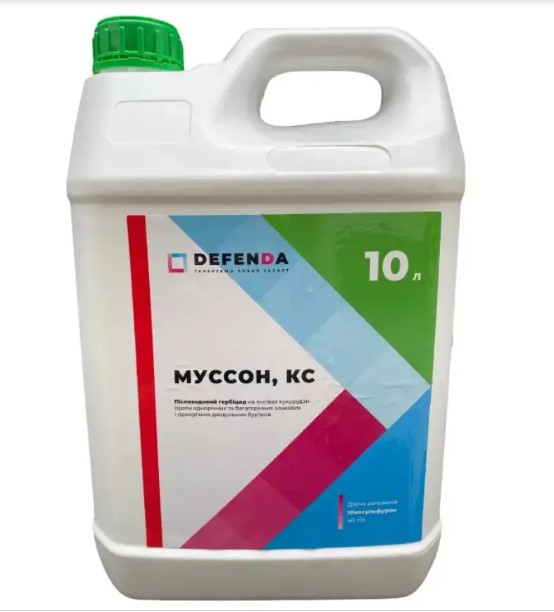 Муссон