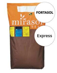 Фортасол (Mirasol Seed, Україна) 