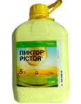Пиктор 5 л