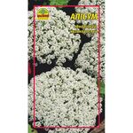 Насіння Аліссум білий 0.1 г (Насіння країни)