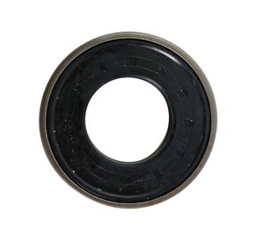 47134818 уплотнение (сальник) (New holland, Italy) 