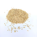 Насіння огірка Засолювальний 0,5 кг