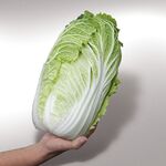 КАПУСТА ПЕКІНСКА KS 340 F1