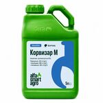 Корвізар М