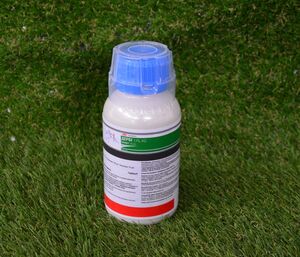 Дербі 175 КС 0,5 л (Сингента, Switzerland) 