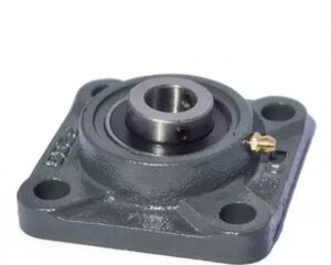 F04100137 підшипник 25 (Gaspardo, Italy) 