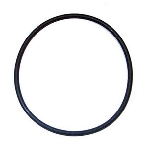 кільце ущільн. фільтра, Т8.390 (New holland, Italy) 