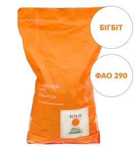 Бигбит  (KWS, Украина) 