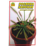 Насіння Росянка капська 5 шт. (Насіння країни)