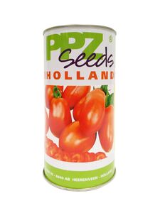 Томат Дораль (ППЗ Насіння, Netherlands) 
