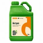 Актуал 5л