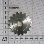 G17131570R Зірочка Z18 5/8-3/8 Q.20,5 ZN