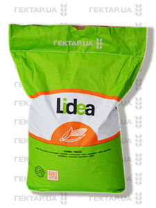 Катамаран ЕС  Редіго М+Пончо (Lidea (Євраліс), Ukraine) 