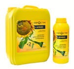  Євростим Амино