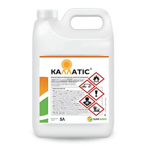 Каллатіс (Самміт-Агро, Japan) 