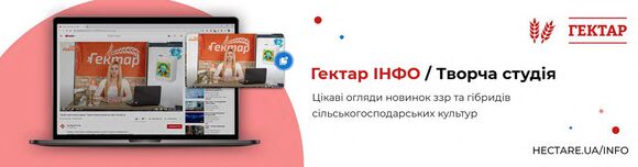 Банер1
