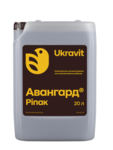 Авангард Р Рiпак
