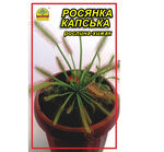 Насіння Росянка капська 5 шт. (Насіння країни)