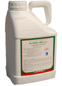 БАМБУ (Самміт-Агро, Japan) 