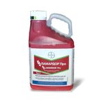 Ламардор Про