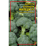 Насіння капусти Брокколі Міледі F1 10 шт.