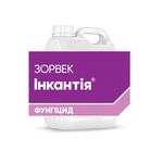 Зорвек Инкантия
