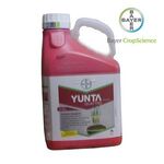 Юнта Квадро 